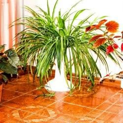 Гостиница Гамма Ханты-Мансийск-18