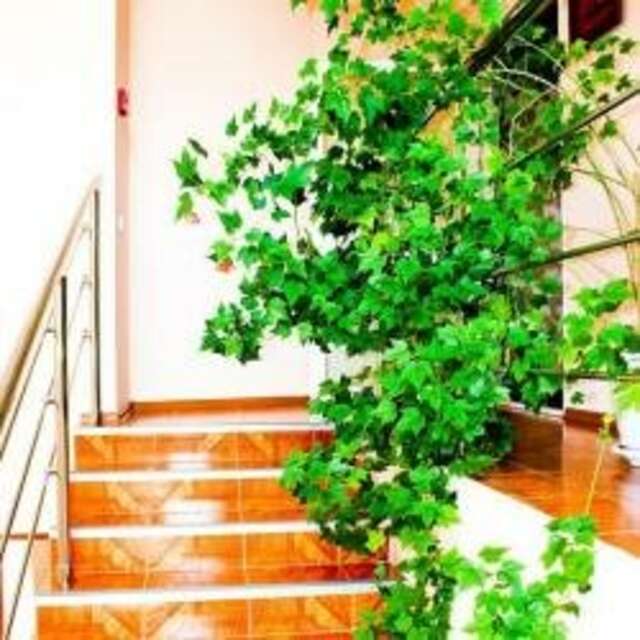 Гостиница Гамма Ханты-Мансийск-35