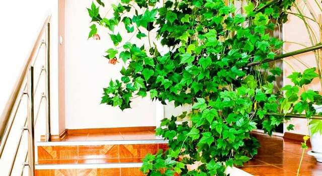 Гостиница Гамма Ханты-Мансийск-11