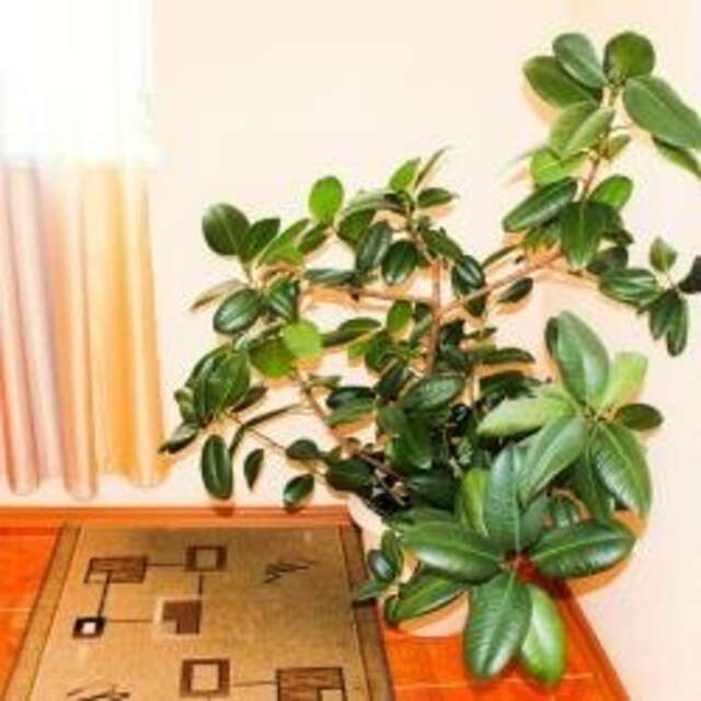 Гостиница Гамма Ханты-Мансийск-27